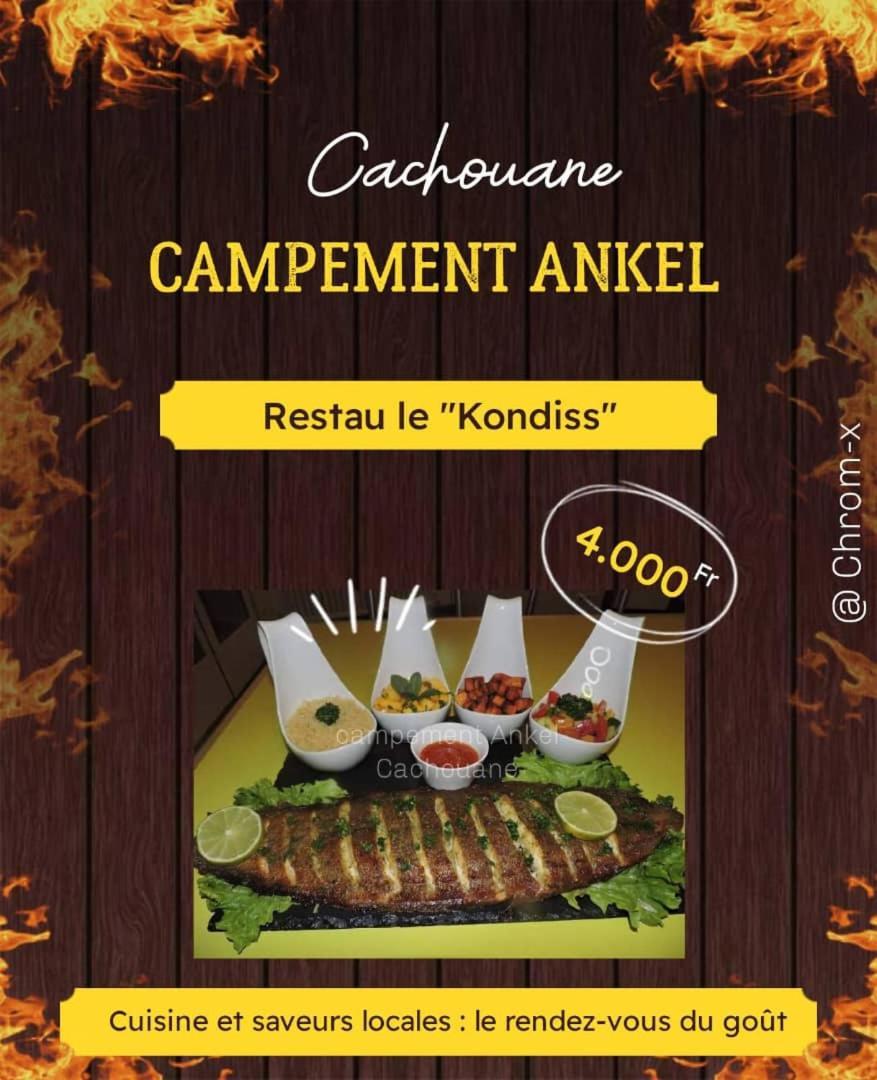 Ankel Campement Kachiouane 外观 照片